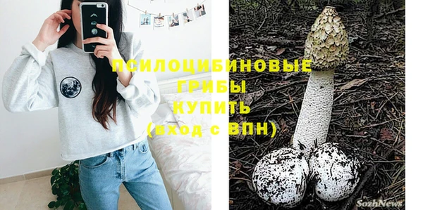 прущая мука Богородск