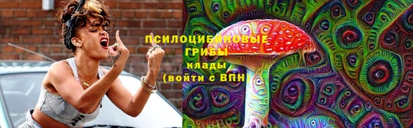 прущая мука Богородск
