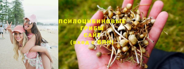 стаф Богородицк