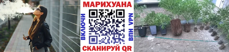 Каннабис конопля  купить наркотики сайты  Тбилисская 